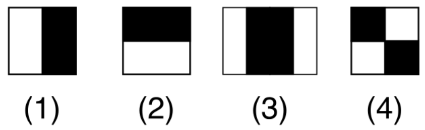 The main Haar features