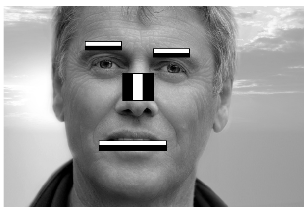 Common Haar features for face detection