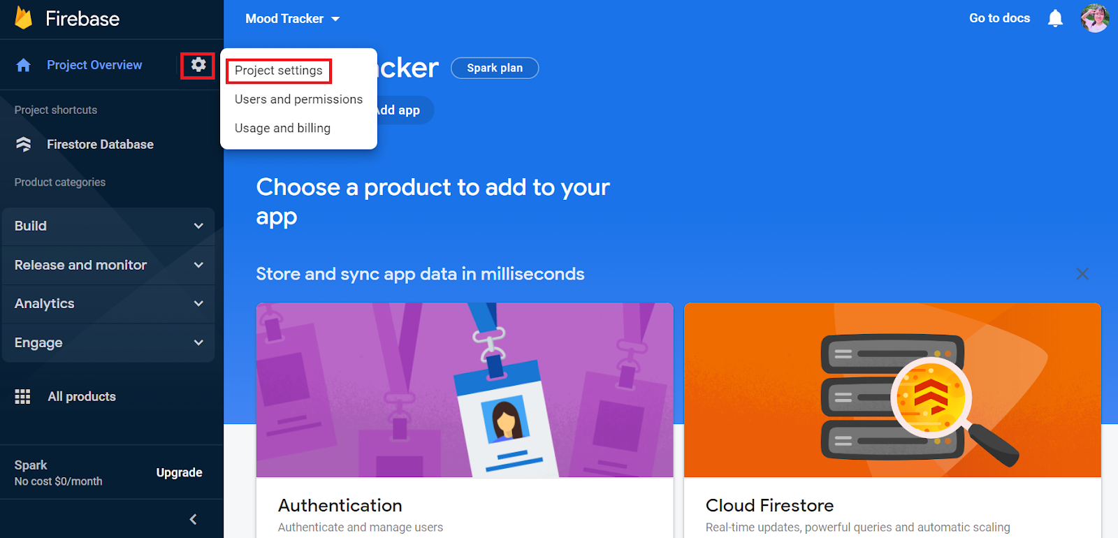Firebase Project Settings