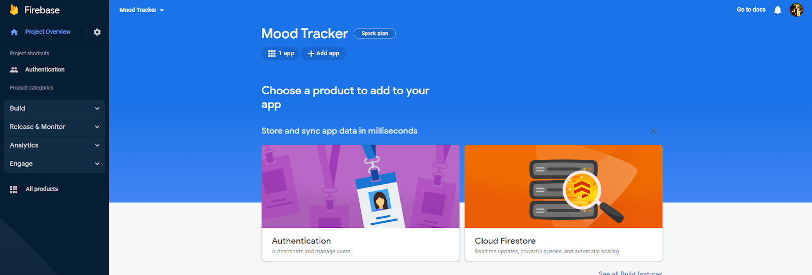 Firebase Authentication Go to Docs