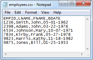 Example of CSV file shown in Notepad