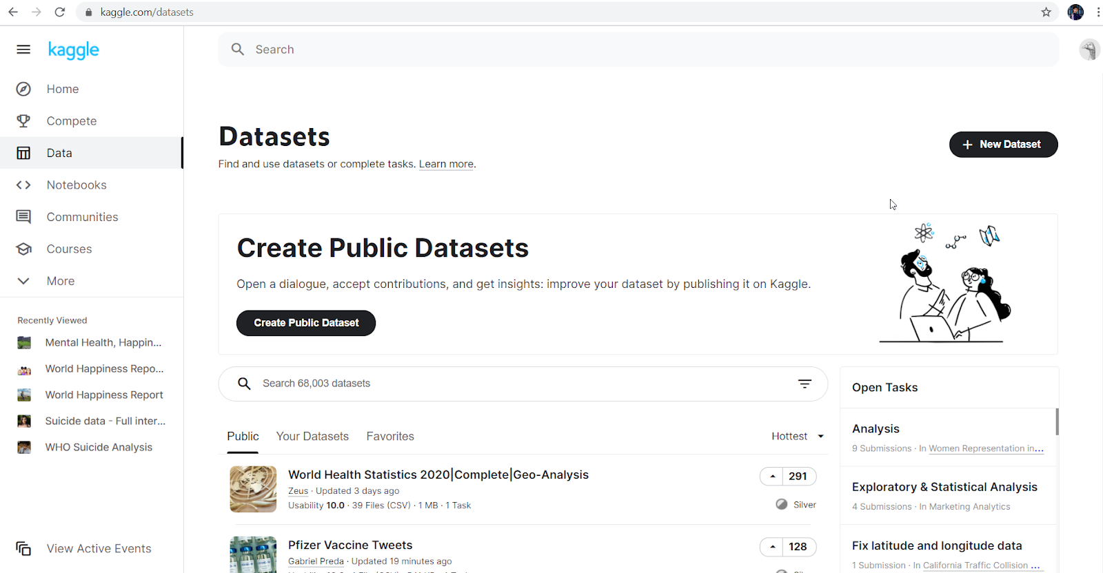 Kaggle datasets interface