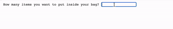 Camping bag program output