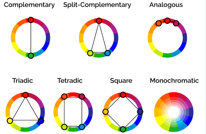 color harmony