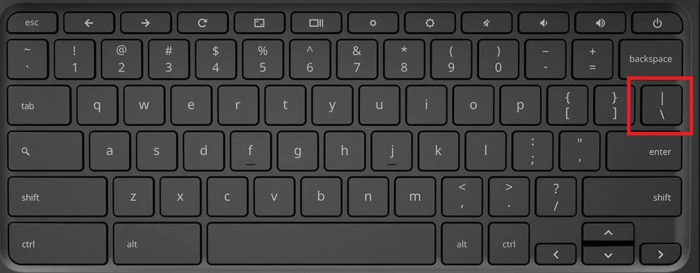 Backslash Usage