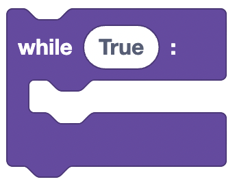 While Loop Block