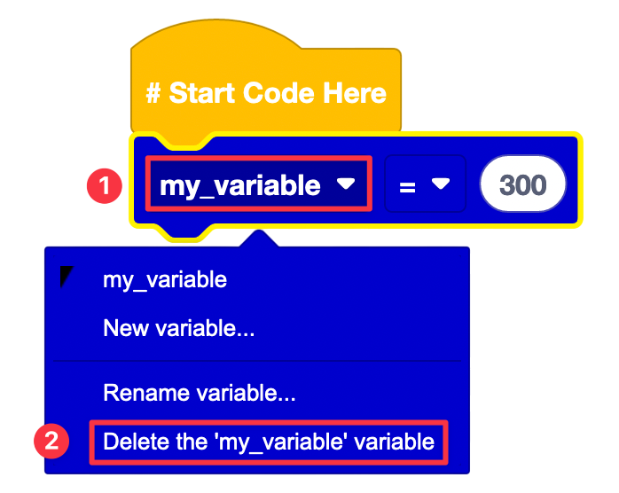 Variable Delete