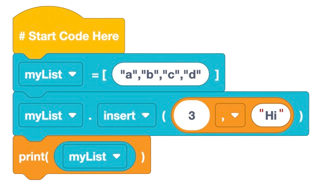 Insert Input
