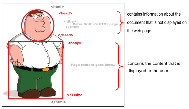 HTML Head and Body Sections
