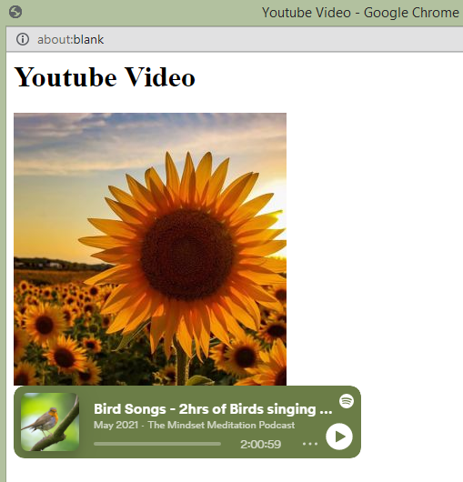 HTML Image Tag Output