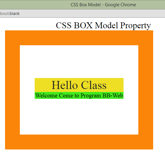 CSS Box Model Complete Example