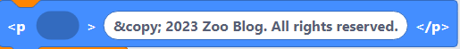 Footer Text
