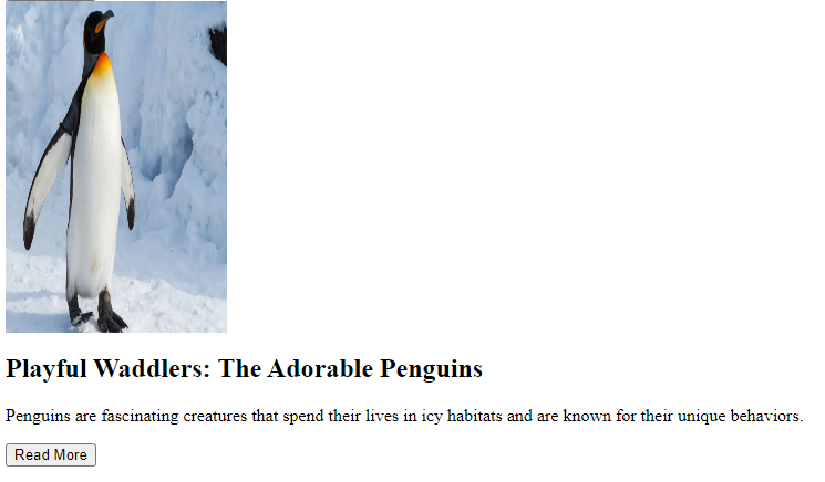 Zoo Blog Overview 3