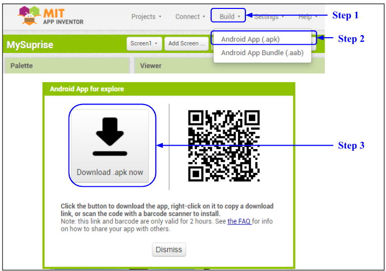Final App Installation Process
