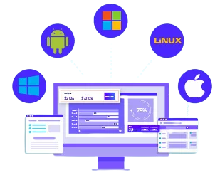 system software