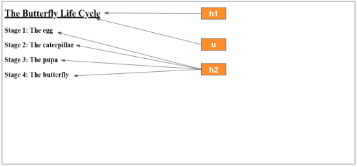 Basic HTML structure output