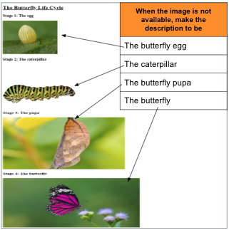 Advanced layout with images