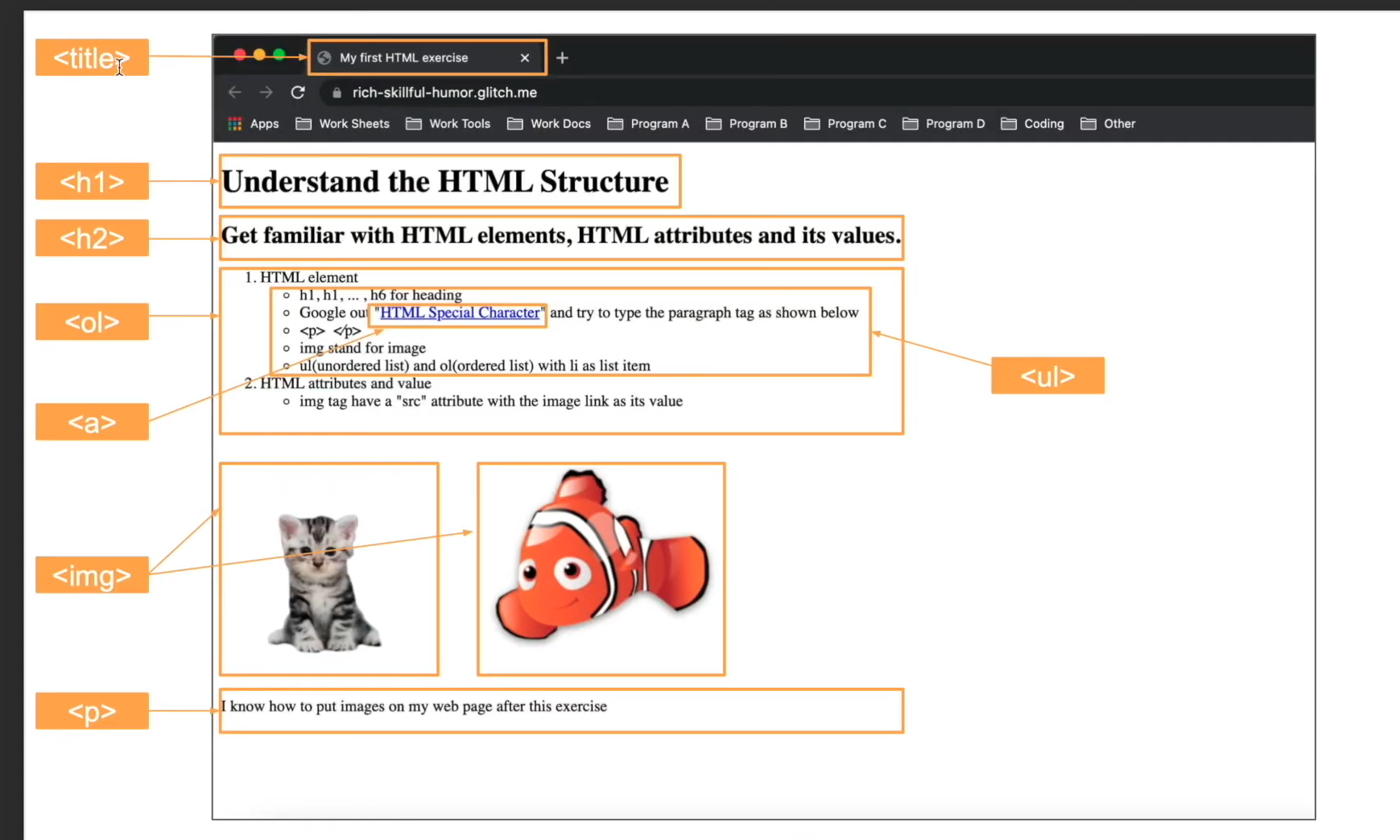 HTML Fundamental Project expected output showing webpage structure